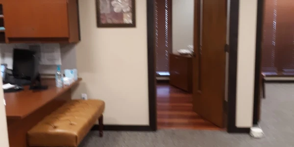 Florida Therapy Services