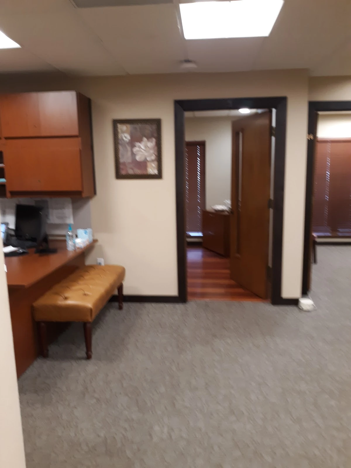 Florida Therapy Services